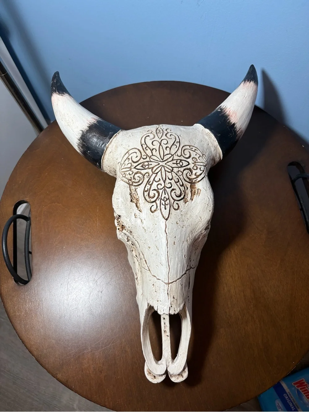 Decorative White Bull Skull Wall Accent with Black-Tipped Horns